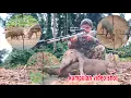 Download Lagu kompilasi video shot hama babi hutan di siang hari dan malam hari @gandyhunter