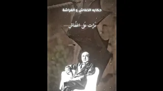 الخفاش والفراشة   مرت على الخفاش مليكة الفراش   قصيدة من روائع أحمد شوقي بصوت أسامة الواعظ دندنها