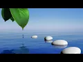 Marconi Union - Weightless (Official Video)