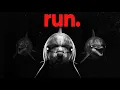 Why Apex Predators are Still Afraid of Dolphins
