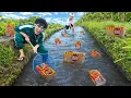 Lagu Kita Berburu ChokiChoki Boboiboy JUMBO Langka di Sungai Pengairan!!! Bocil Kena TIPU!!!