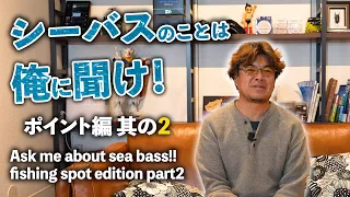 その2 シーバスのポイントについて質問に答えた【質問回答】