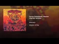 Serve Somebody Warren Haynes version