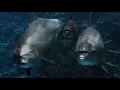 Download Lagu The Ocean (Oxygene Streaming Waters Remix)