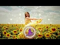 SUNFLOWER - GIANT'S NEST -  MUSICDONTSTOP