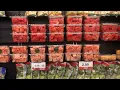 Cost of Living in Davenport Iowa 2026 Hyvee Grocery Shopping