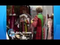 Doctor Who The 50th Anniversary Collection