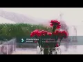 [DEAR DIARY] - Still With You (비오는 날 너와 함께) | Piano Instrumental | Rain & Nature Sounds