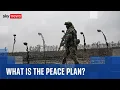 Lagu What is Trump's peace plan for the Ukraine war and why is it controversial?