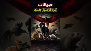 خمسة حيوانات أمرنا النبي ﷺ بقتلها حتى ولو كنت في الحرم 