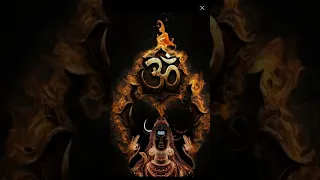 October 28 2025  October 28 2025