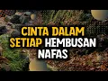 Download Lagu Cinta Dalam Setiap Hembusan Nafas || Musikalisasi Puisi Sedih Tentang Cinta