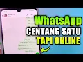 Download Lagu Cara Membuat WhatsApp Centang 1 Padahal Online Terbaru