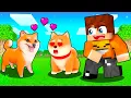 Download Lagu REAKCJA SHIBY NA NOWEGO PIESKA w Minecraft 🦴💗