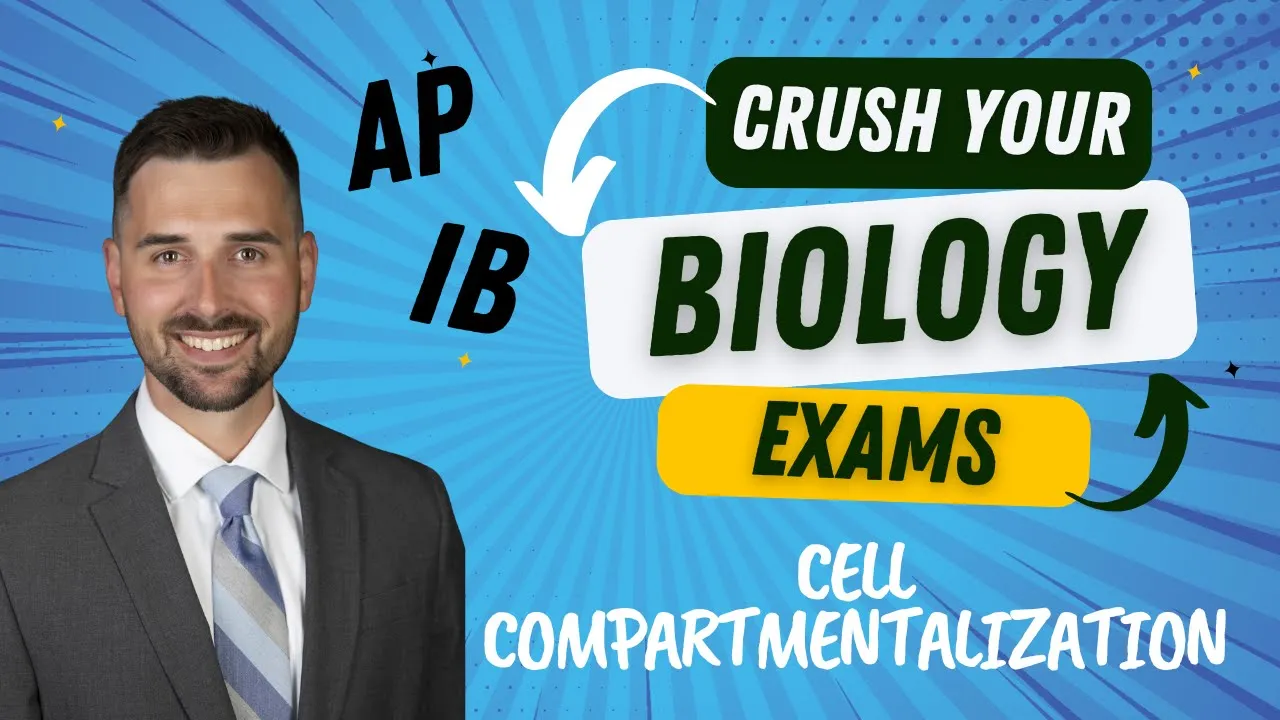Cell Compartmentalization