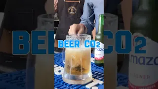 طريقة شرب البيره الصحيحيه   كيف تنشرب البيرا       دندنها