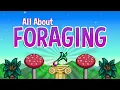 The Ultimate Foraging Guide - Stardew Valley