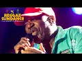 Download Lagu Alpha Blondy at Reggae Sundance 2022