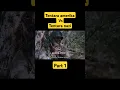 Download Lagu Film perang nazi vs amerika sub indonesia terbaru.