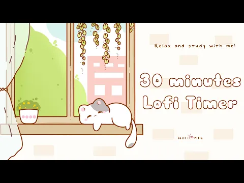 30 minutes - Relax & study with me Lofi | Cat by the window
