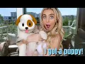 I GOT A PUPPY