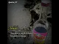 Download Lagu Story wa anggur merah