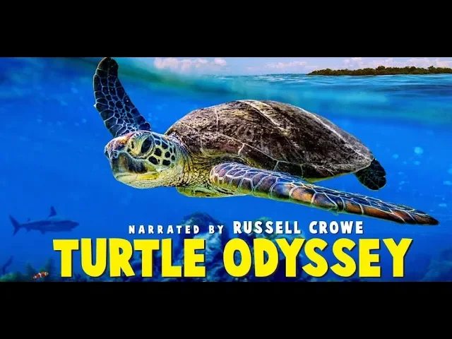 Turtle Odyssey - Official Trailer