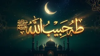 طه حبيب الله ﷺ      أجمل أنشودة في حب رسول الله   أناشيد إسلامية      دندنها