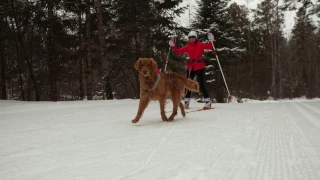 Winter in Minocqua