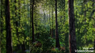 موسيقى تصويرية رائعة مسلسل نصيبى وقسمتك دندنها