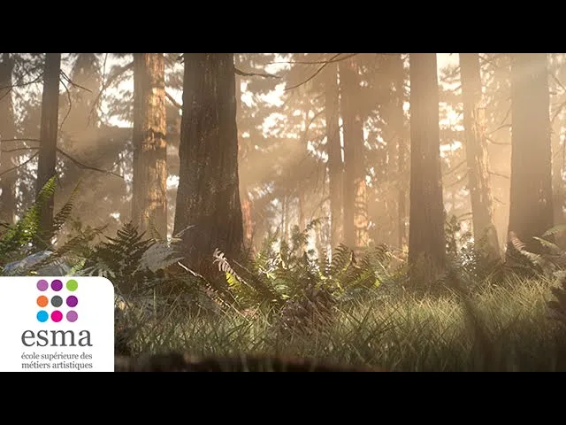 background images