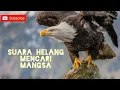 Download Lagu BUNYI HELANG (AUDIO)