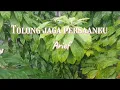 Download Lagu Arief -Tolong jaga Persaanku @awiemusik #tolong #jaga #perasaanku