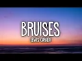Lewis Capaldi - Bruises 1 Hour Version