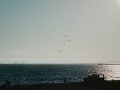 from my room to yours ep. 7 | ambient
