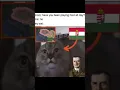 Lagu sorry whiskers, i need to invade the soviet union with democratic paraguay￼ - hoi4 memes - rcp2k