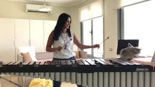 عمر خيرت نسمة عبد العزيز في هويد الليل Nesma Abdel Aziz Fi Haweed El Leil Omar Khairat 