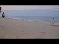 TOBAY Beach Live Stream
