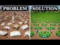 Download Lagu You Won’t Believe How Refugees Transformed the Sahara Desert Greening