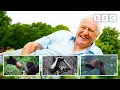 97 years of Sir David Attenborough in 97 seconds David Attenborough s Birt ay - BBC