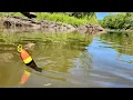 Download Lagu Bobber Fishing A SMALL RIVER!!! (Kayak Fishing)