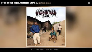 n t s a k o xvi sxova tribesoul u0026 tots sa nyakadongo official audio 