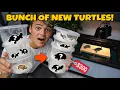 BUYING a BUNCH of EXOTIC TURTLES for My 120G POND