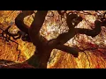 Sun Circle by Ah*Nee*Mah in 432Hz