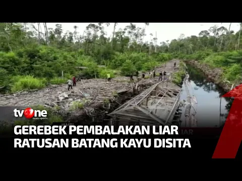 Polisi Gerebek Pembalakan Liar di Jambi, Pelaku Kabur saat Petugas Datang