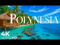 Download Lagu POLYNESIA 4K UHD - Explore The Most Beautiful Paradise Island In France