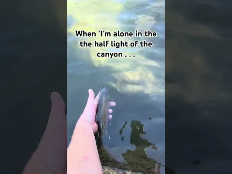 Can You Identify Where This Song Is From? One of My Favorites!!!