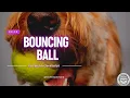 Animating a Ball with p5 js Creating Interactive Graphics with Code