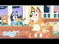 Download Lagu Het Beste van Serie 1! 💙 | 35 MINUTEN + Volledige Afleveringen | Bluey - Officieel Nederlands kanaal