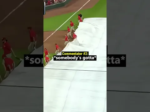 He Got Eaten Alive By The Tarp 😳 (@MLB/IG)